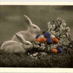 Fröhliche Ostern - Hasen
