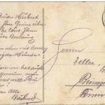 Bodensee Schiff und Möwe