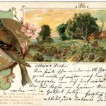 Vogel - Litho - Prägekarte