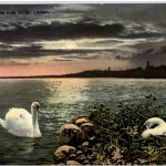 Clair de lune au lac Leman