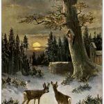 Rehe