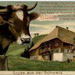 Kuh - Gruss aus der Schweiz - Prägekarte