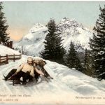 Bobfahren - Partie de Bobsleigh dans les Alpes