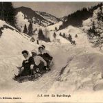 Bobsleigh