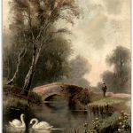 F. W. Hayes