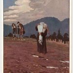 E. Kutzer - Adalbert Stifter - Ostmark, Bund deutscher Österreicher