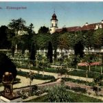 Mainau - Rosengarten