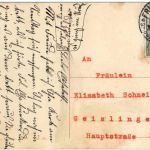 Mainau - Rosengarten