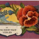 Une Pensee de Jonchery sur Vesles