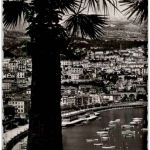 Monaco - Le Port et la Condamine