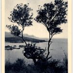 Costa Brava - Paisatge en el Cami de Cadaques