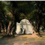 Blida - Maraboul au bois Sacre