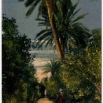 Blida - Jardin Bizot