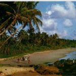 Beach Scene