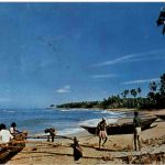 Beach Scene