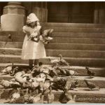 Lausanne - Les pigeons de St. Francois
