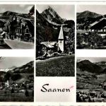 Saanen