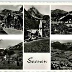 Saanen