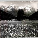 Champex et le Grand Combin