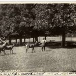 Zofingen - Wildpark