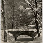 Motiv bei Unterwasser