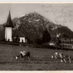 Aeschi - Landschaft mit Niesen
