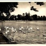 Arbon