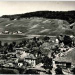 Luins