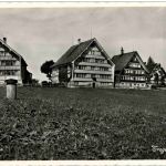 Trogen - Berg