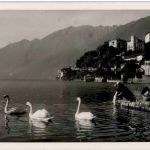 Ascona
