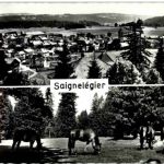 Saignelegier