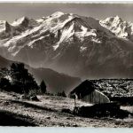 Chamonix - Paturage de Plaine Joux
