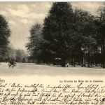 Bruxelles - La Cloche au Bois de la Cambre