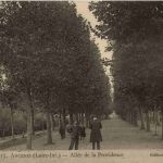 Ancenis