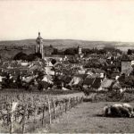 Arbois