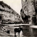 Gorges du Tarn