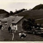 Vorder Weissenstein - Wirtschaft z. Sennhaus