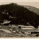 Braunwaldalp