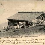 Chalet dans les Alpes