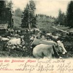 Gruss aus den Bündner Alpen