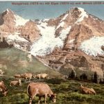 Wengernalp mit Eiger