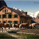 Grosse Scheidegg mit Eiger