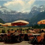Lenk