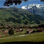 Lenk