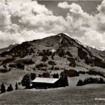 Rinderberg Zweisimmen