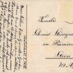 Thalwil und die Alpen