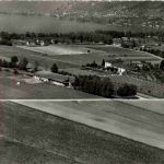 Tenero - Tenuta Agricola