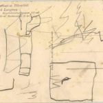 Langnau - Waldreservation Dürsrütti