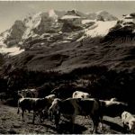 Kiental - Blick auf Bundalp