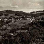 Heiden